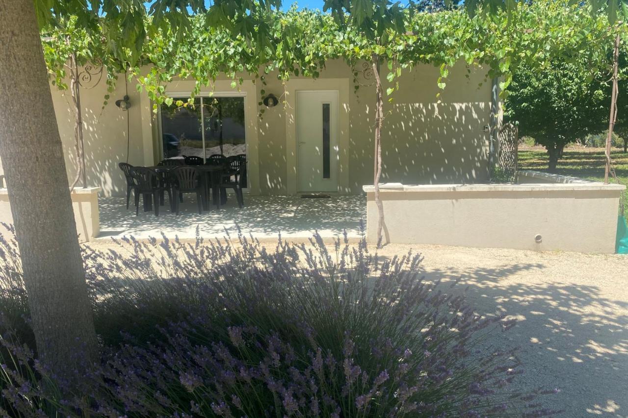 Le Ribbou Βίλα LʼIsle-sur-la-Sorgue Εξωτερικό φωτογραφία